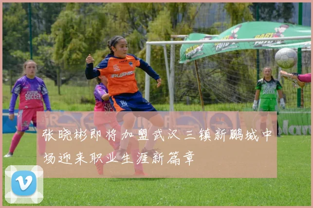 张晓彬即将加盟武汉三镇新鹏城中场迎来职业生涯新篇章