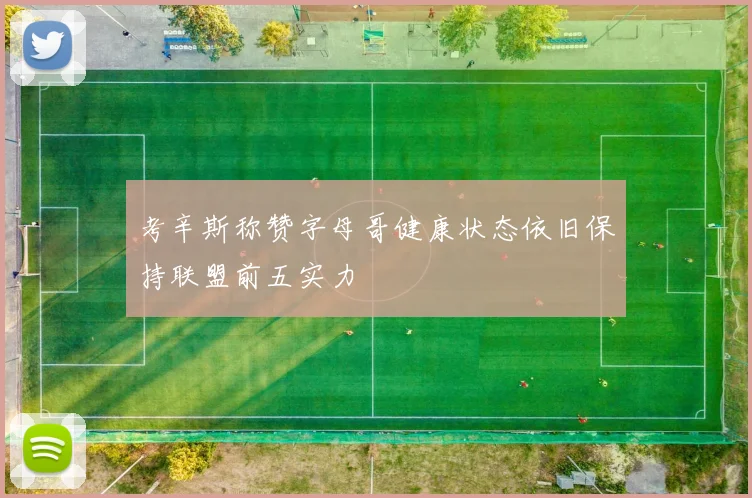 考辛斯称赞字母哥健康状态依旧保持联盟前五实力